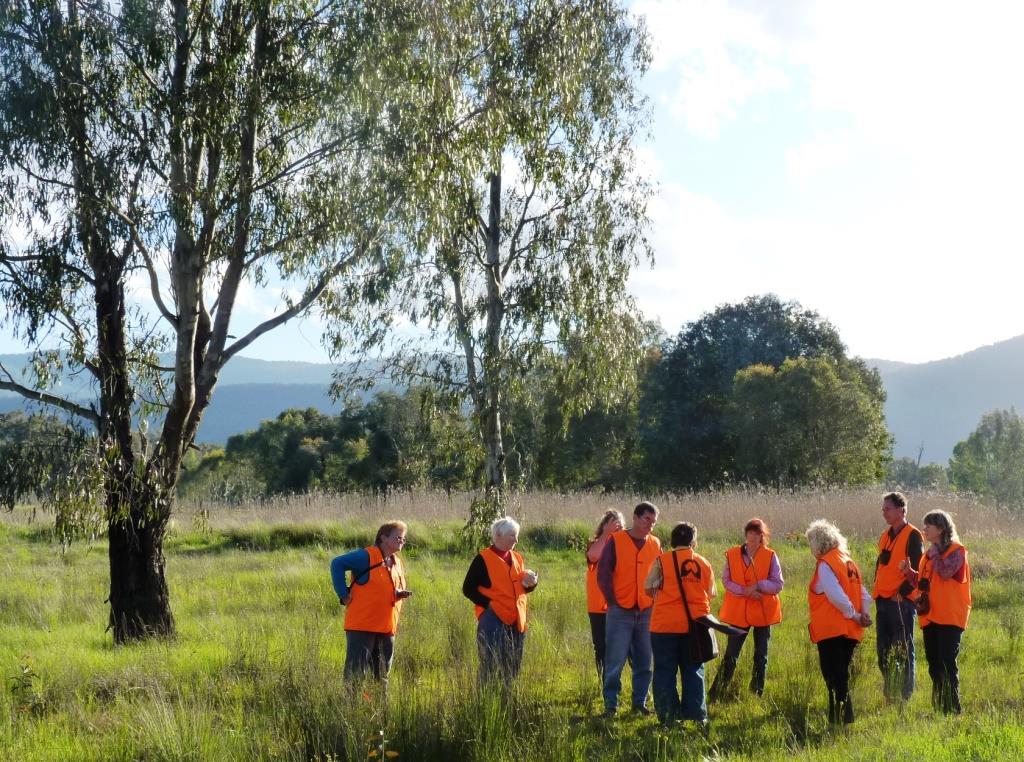 Kergungah Wetlands